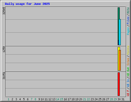 Daily usage for June 2025